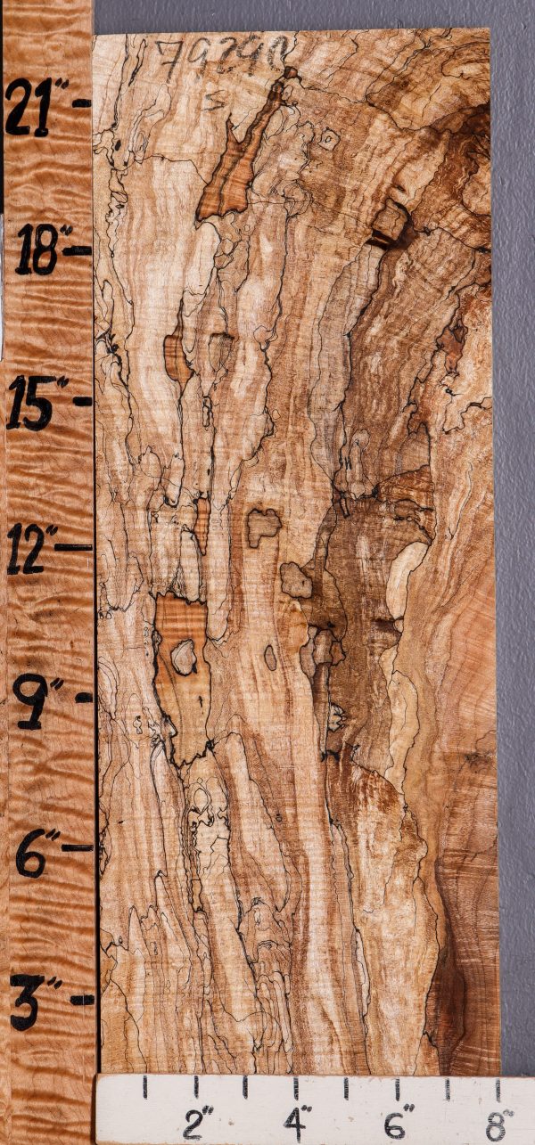 5A Curly Spalted Maple Lumber 7"7/8 X 22" X 4/4 (NWT-7929C)