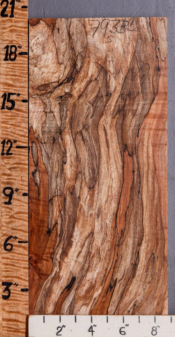 5A Curly Spalted Maple Lumber 8"3/4 X 20" X 4/4 (NWT-7933C)