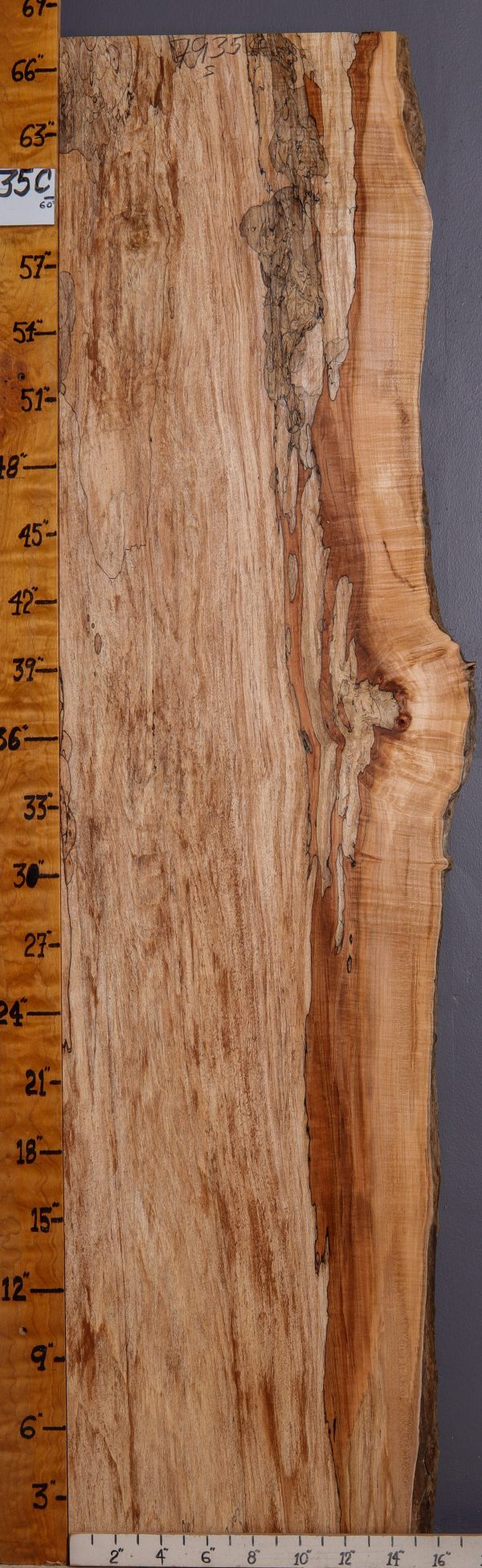 5A Curly Spalted Maple Lumber with Live Edge 16" X 67" X 8/4 (NWT-7935C)