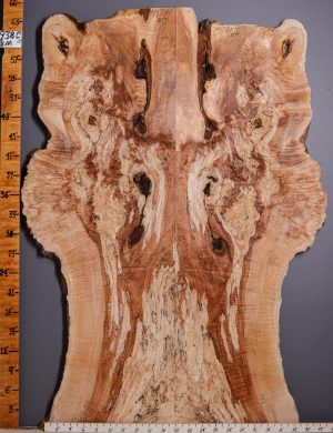 5A Burl Spalted Maple Lumber Bookmatch with Live Edge 38" X 62" X 8/4 (NWT-7938C)