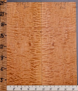 Musical Quilted Maple Bookmatch Microlumber 19" X 24" X 1/4 (NWT-7947C)