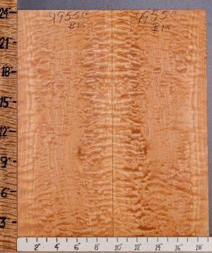 Musical Quilted Maple Bookmatch Microlumber 19"1/4 X 24" X 1/4 (NWT-7955C)