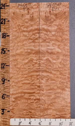 Musical Quilted Maple Bookmatch Microlumber 12" X 24" X 1/4 (NWT-7966C)