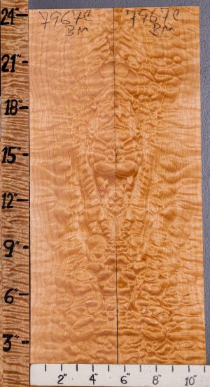 Musical Quilted Maple Bookmatch Microlumber 10"3/4 X 24" X 1/4 (NWT-7967C)