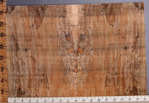 5A Spalted Maple Bookmatch Microlumber 36"1/2 X 25" X 1/2 (NWT-7976C)
