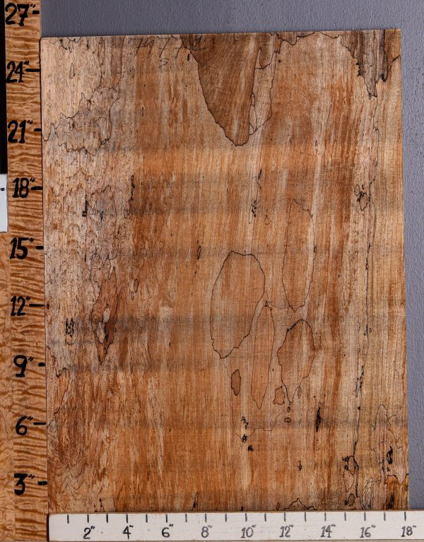 5A Spalted Maple Microlumber 18"1/4 X 25" X 1/2 (NWT-7977C)