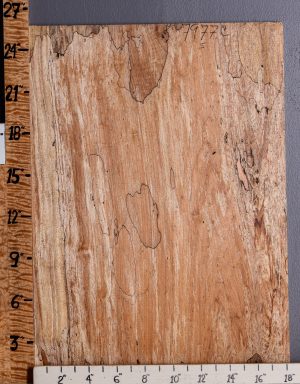 5A Spalted Maple Microlumber 18"1/4 X 25" X 1/2 (NWT-7977C)