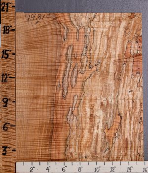5A Spalted Curly Maple Microlumber 15"3/4 X 20" X 1/2 (NWT-7981C)