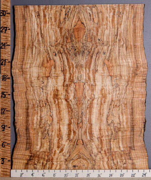 5A Spalted Curly Maple Microlumber Bookmatch with Live Edge 23" X 31" X 1/2 (NWT-7985C)