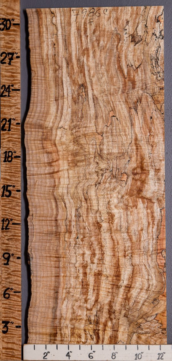 5A Curly Spalted Maple Microlumber with Live Edge 11"3/4 X 31" X 1/2 (NWT-7986C)