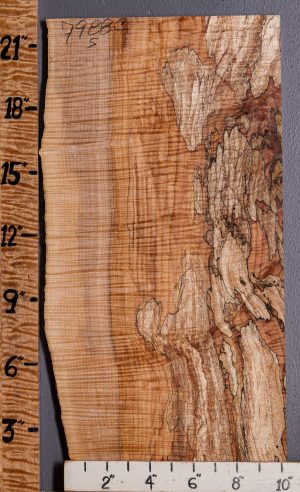 5A Curly Spalted Maple Microlumber with Live Edge 10"1/2 X 22" X 1/2 (NWT-7988C)