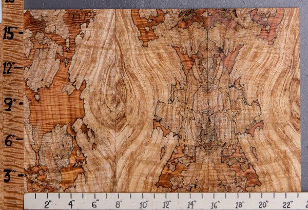 5A Spalted Curly Maple Microlumber 3 Board Set 23"1/4 X 16" X 1/2 (NWT-7990C)