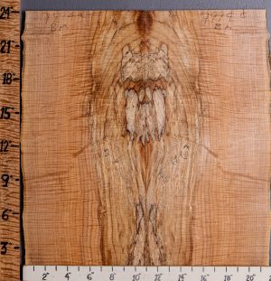 5A Spalted Maple Microlumber Bookmatch with Live Edge 21"1/2 X 24" X 1/2 (NWT-7994C)