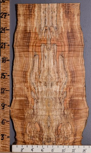 5A Spalted Curly Maple Microlumber Bookmatch with Live Edge 12"1/2 X 29" X 1/2 (NWT-7995C)
