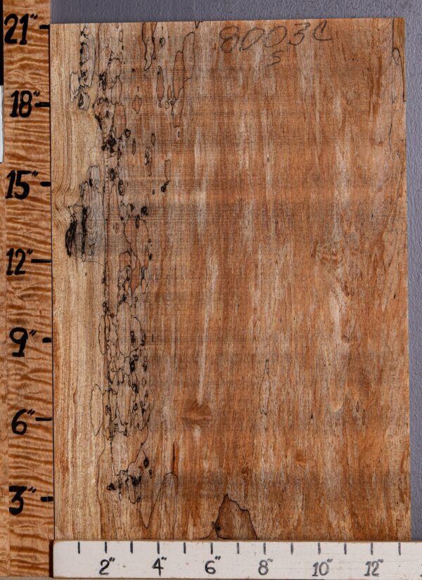 5A Spalted Maple Microlumber 13"1/4 X 21" X 1/2 (NWT-8003C) - Image 2