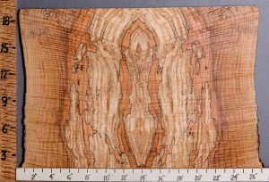 5A Spalted Curly Maple Microlumber Bookmatch with Live Edge 27" X 19" X 1/2 (NWT-8006C)