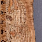 5A Spalted Curly Maple Microlumber with Live Edge 8"1/2 X 23" X 1/2 (NWT-8008C)