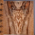 5A Spalted Curly Maple Bookmatch Microlumber 16"1/2 X 19" X 1/4 (NWT-8013C)