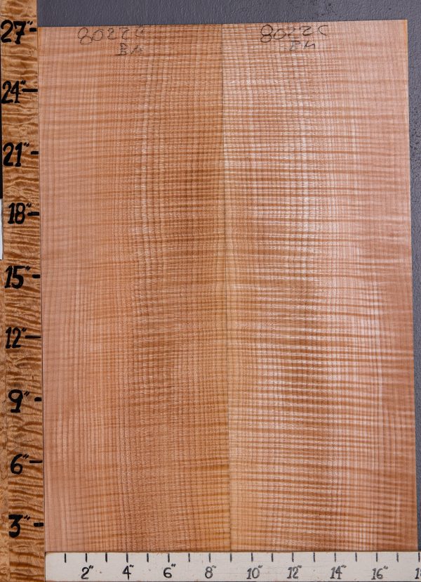 Musical Curly Maple Billet Back Bookmatch Microlumber Set 18" X 27" X .175" (NWT-8022C) 