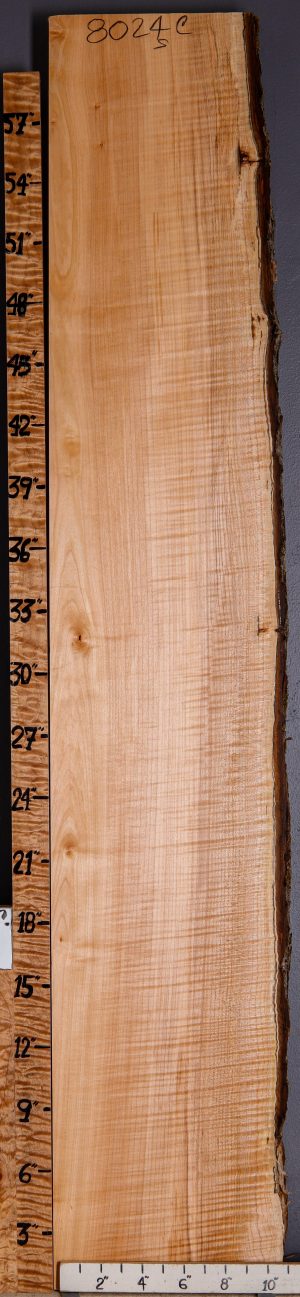 5A Curly Maple Lumber with Live Edge 10" X 62" X 8/4 (NWT-8024C)