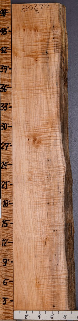 5A Curly Maple Lumber with Live Edge 8" X 49" X 8/4 (NWT-8027C)