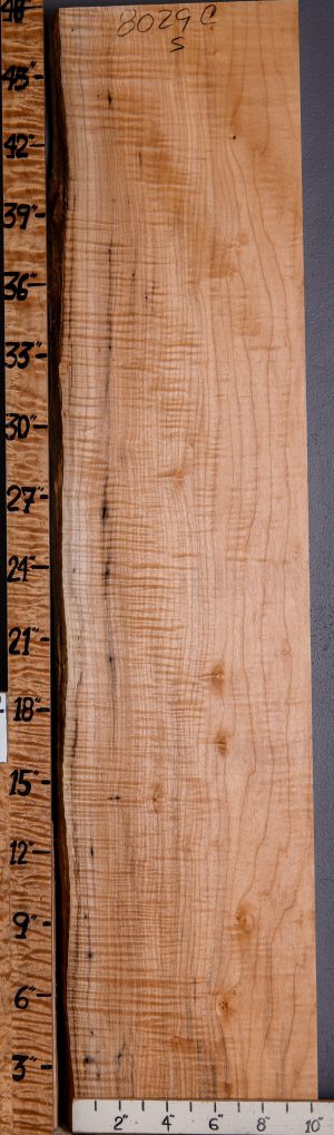 5A Curly Maple Lumber with Live Edge 10" X 47" X 8/4 (NWT-8029C)