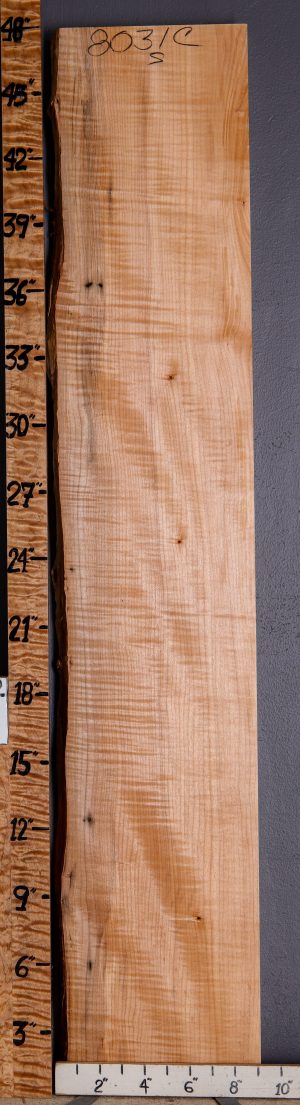 5A Curly Maple Lumber with Live Edge 8"1/2 X 48" X 7/4 (NWT-8031C)