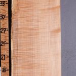 5A Curly Maple Lumber with Live Edge 11" X 48" X 8/4 (NWT-8041C)