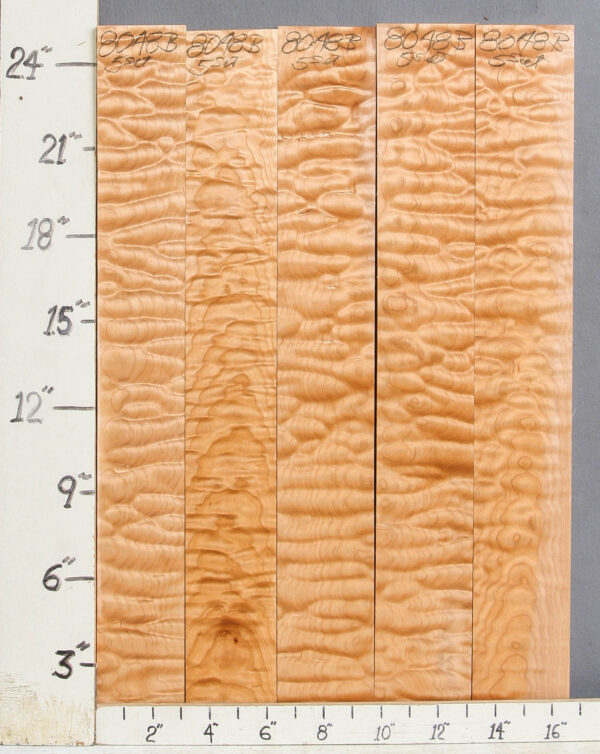 MUSICAL QUILTED MAPLE 5 BOARD SET OF LUMBER 16"1/2 X 24" X 4/4 (NWT-8048B)