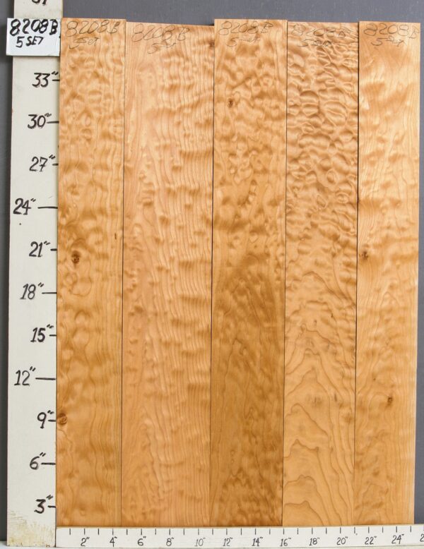 AAAA QUILTED MAPLE 5 BOARD SET 25"1/4 X 36" X 4/4 (NWT-8208B)