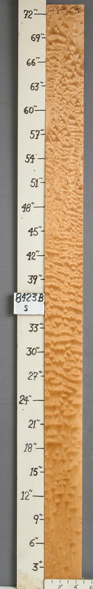 MUSICAL QUILTED MAPLE LUMBER 4"5/8 X 73" X 4/4 (NWT-8423B)