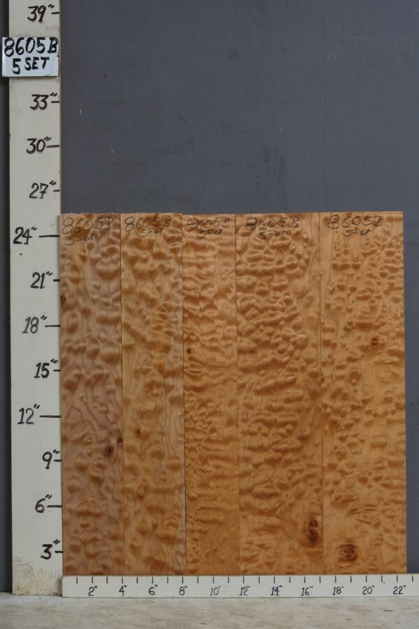 AAAAA QUILTED MAPLE 5 BOARD SET 22"1/2 X 24" X 4/4 (NWT-8605B)