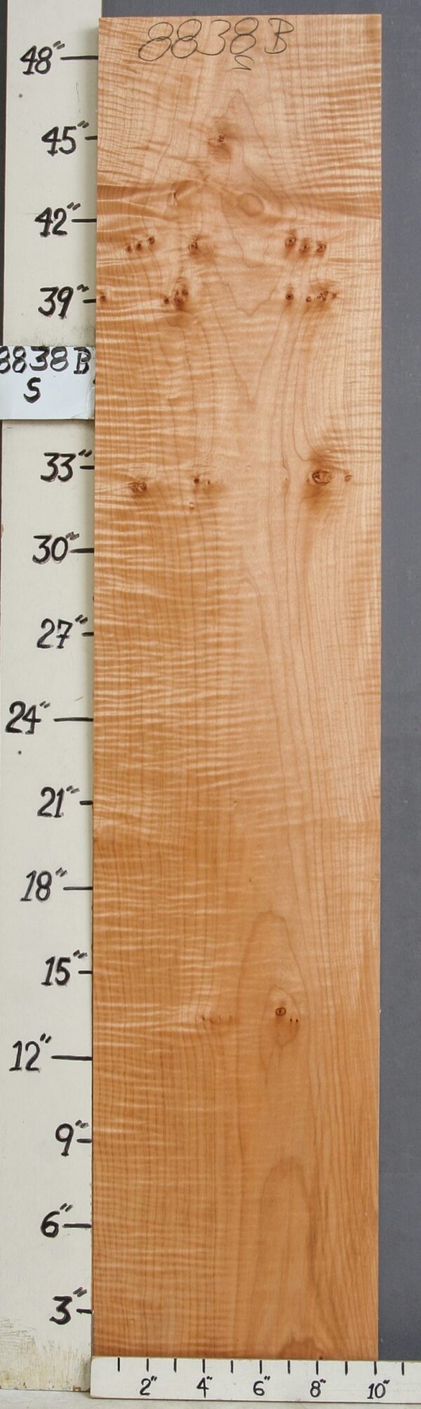 AAAAA CURLY MAPLE LUMBER 10"1/8 X 49" X 5/4 (NWT-8838B)