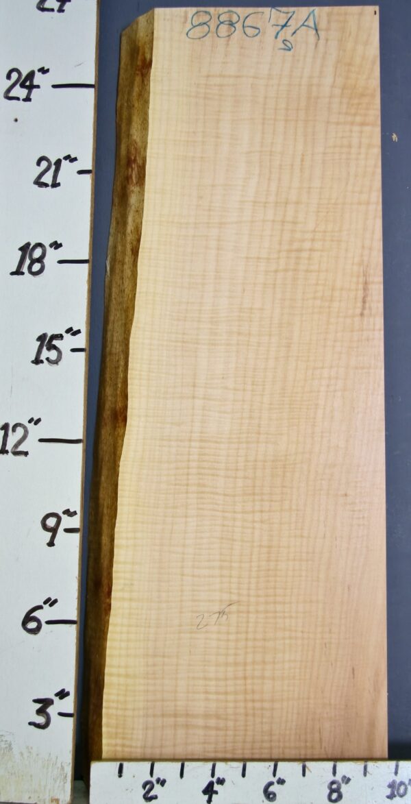 MUSICAL CURLY MAPLE BILLET 9" X 25"3/4 X 2" (NWT8866A)