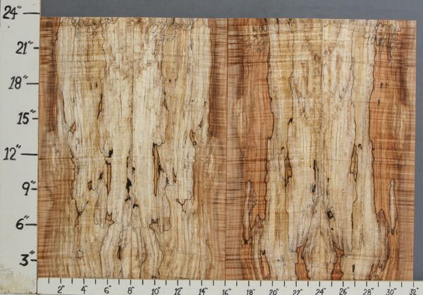 AAAAA SPALTED CURLY MAPLE MICROLUMBER 4 BOARD SET 32" X 23" X 3/8 (NWT-9071B)