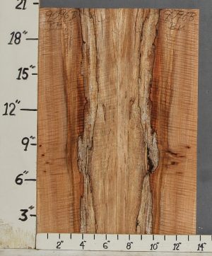 AAAAA SPALTED CURLY MAPLE MICROLUMBER BOOKMATCH 13"1/2 X 20" X 3/8 (NWT-9096B)