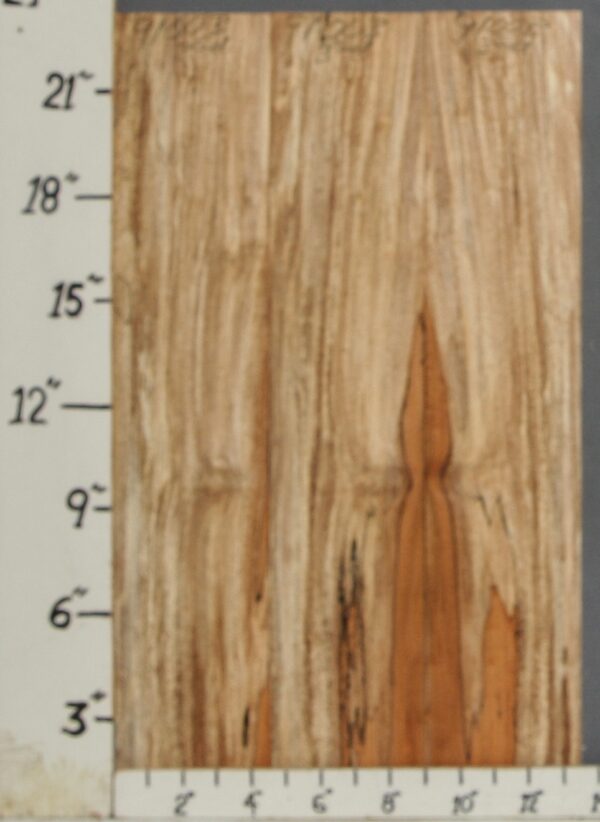 AAAAA SPALTED MAPLE MICROLUMBER 3 BOARD SET 13"1/4 X 23" X 3/8 (NWT-9100B)