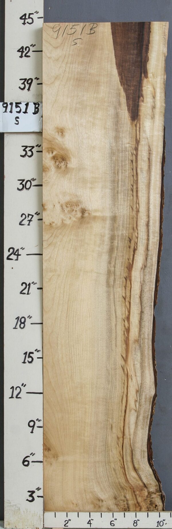 AAAAA MYRTLEWOOD BLOCK WITH LIVE EDGE 10" X 44" X 1"3/4 (NWT-9151B)