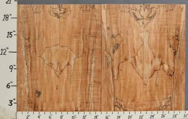 AAAAA SPALTED CURLY MAPLE MICROLUMBER 4 BOARD SET 30" X 20" X 3/8 (NWT-9177B)