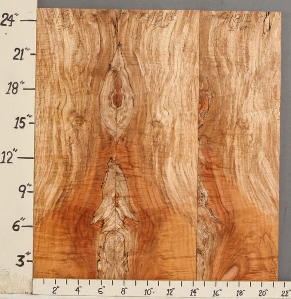 AAAAA SPALTED CURLY MAPLE MICROLUMBER 3 BOARD SET 21" X 25" X 3/8 (NWT-9181B)