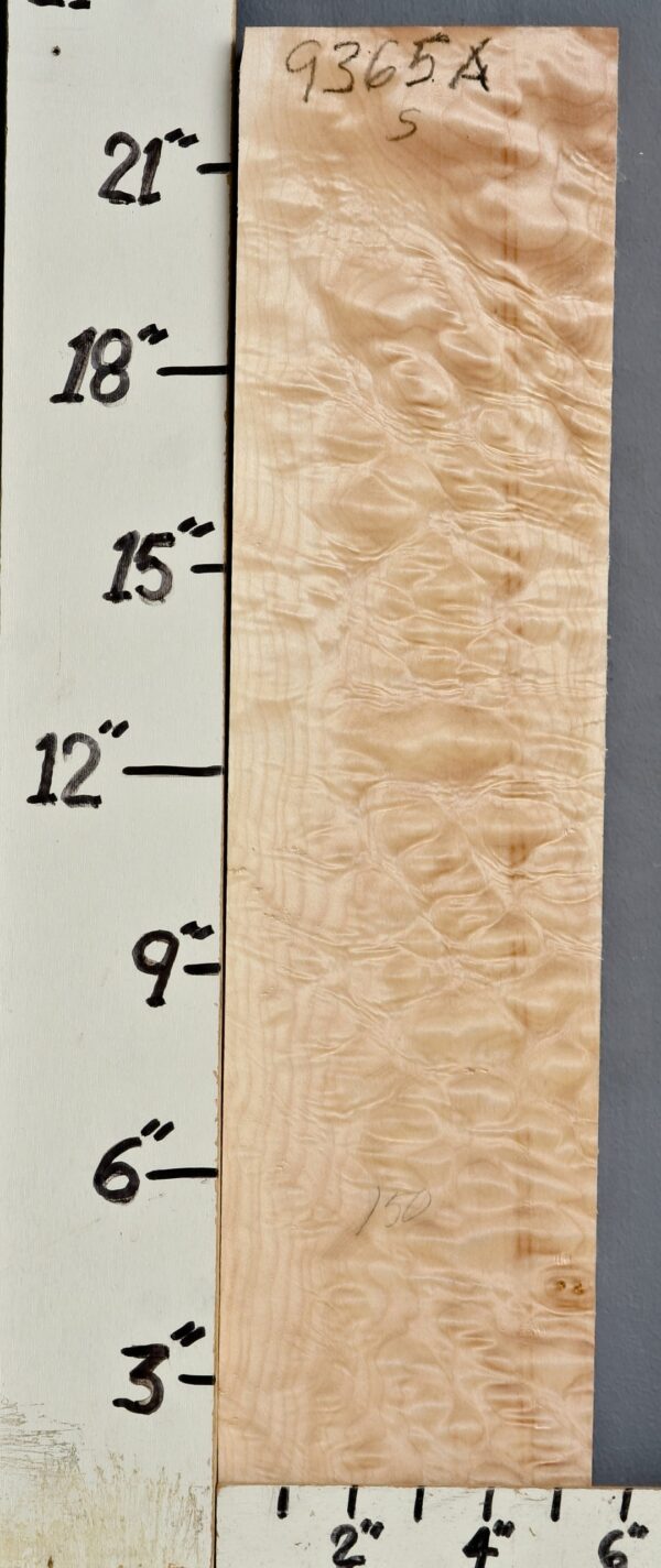 MUSICAL QUILTED MAPLE BILLET 5"1/2 X 23" X 1"3/4 (NWT9365A)