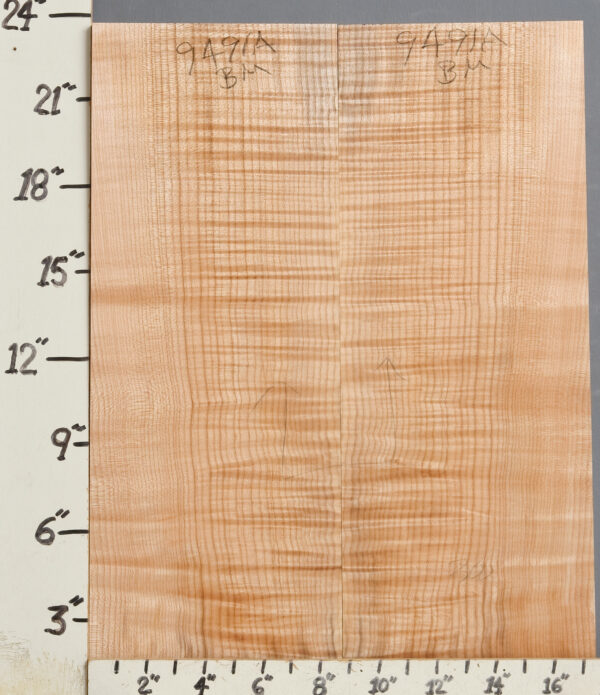 MUSICAL CURLY MAPLE BILLETS BOOKMATCH 17" X 23"1/2 X 1"1/8 (NWT9491A)