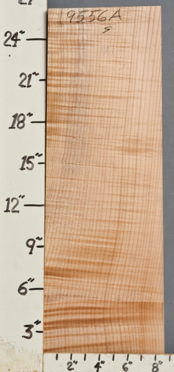 MUSICAL CURLY MAPLE BILLET 8"1/8 X 26" X 1"1/2 (NWT9556A)