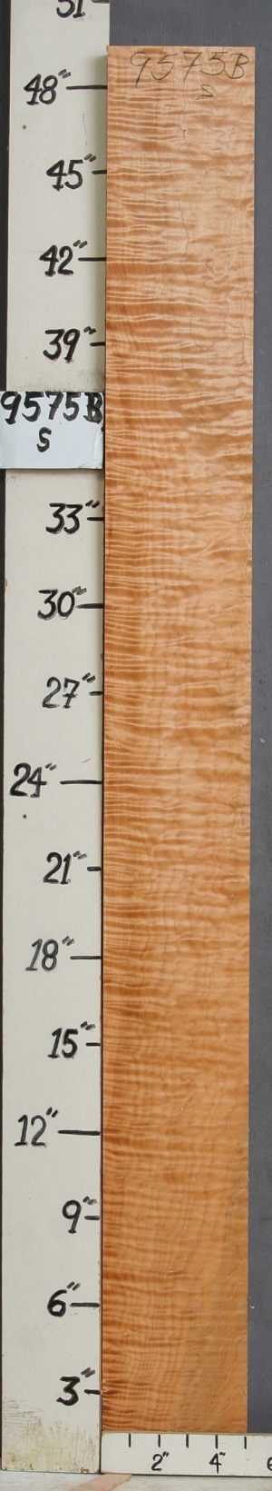 MUSICAL QUILTED MAPLE LUMBER 5" X 49" X 5/4 (NWT-9575B