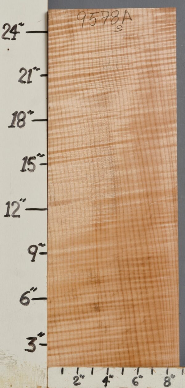 MUSICAL CURLY MAPLE BILLET 8"1/2 X 25"1/4 X 1"5/8 (NWT9578A)