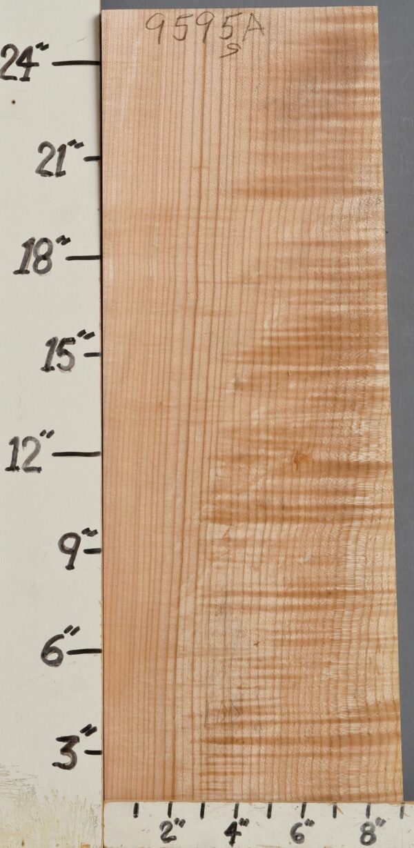 MUSICAL CURLY MAPLE BILLET 8"3/8 X 25"1/2 X 1"5/8 (NWT9595A)