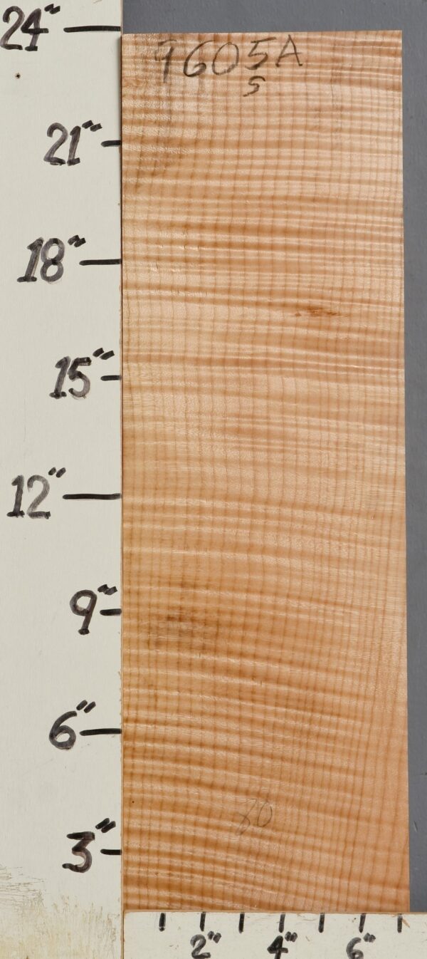 MUSICAL CURLY MAPLE BILLET 7"1/8 X 23"3/4 X 1"1/8 (NWT9605A)