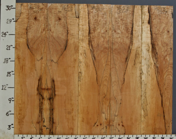 AAAAA SPALTED MAPLE MICRO LUMBER 5 BOARD SET 36"1/4 X 31" X 1/2 (NWT965B)