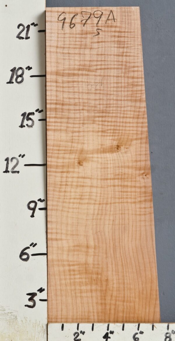 MUSICAL CURLY MAPLE BILLET 6"1/4 X 22"1/4 X 2"3/8 (NWT9679A)