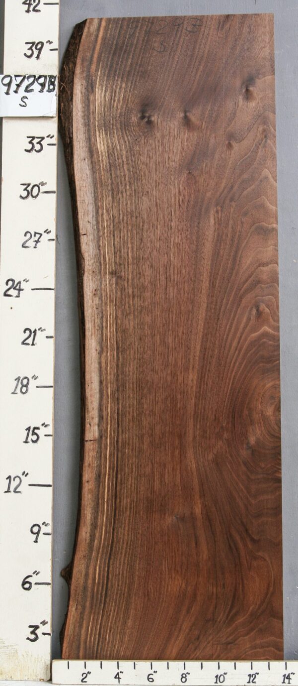 AAAAA MARBLED CLARO WALNUT LUMBER WITH LIVE EDGE 12" X 40" X 4/4 (NWT-9729B)